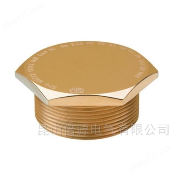 Raxton CKE1200Y Exd/Exe metallic stopping plugs 防爆堵头